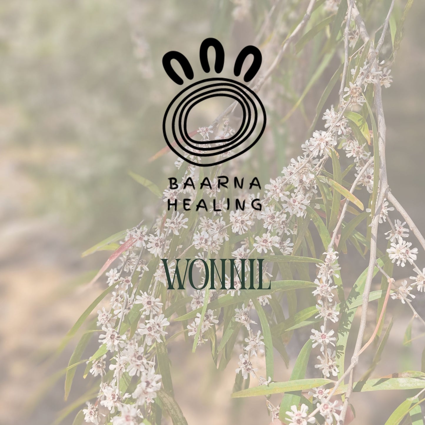 Wonnil Bush Medicine Range (Native Peppy Tree)