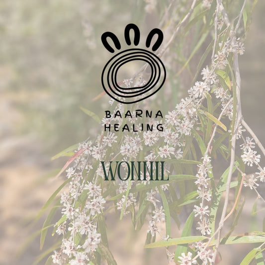 Wonnil Bush Medicine Range (Native Peppy Tree)