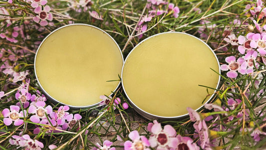 Jambinyu (Geraldton wax) Bush Medicine Rub